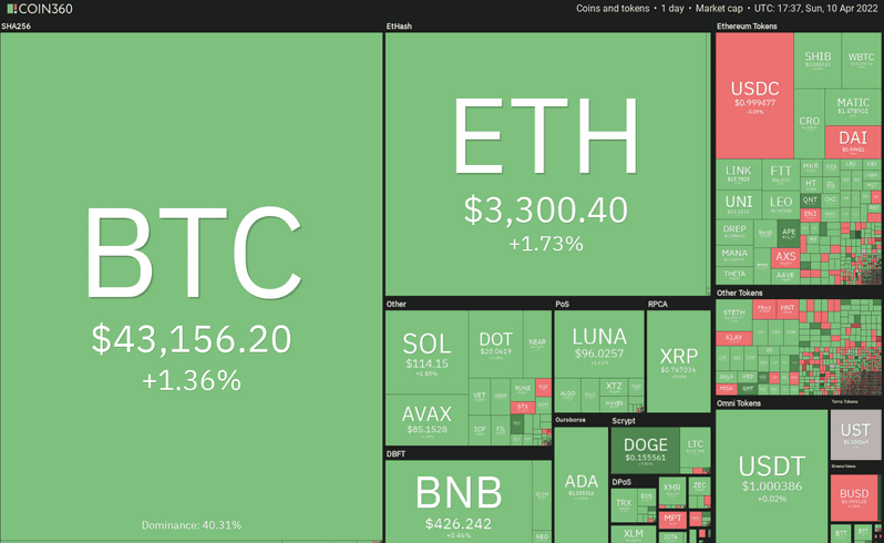 Crypto Market Overview